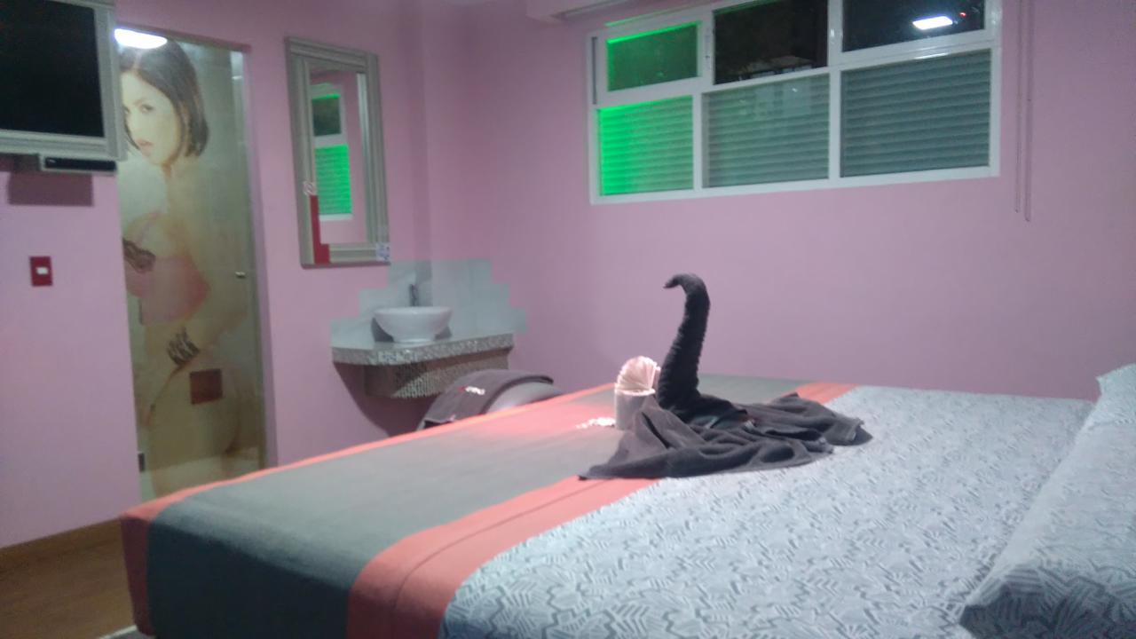 Hotel H - Eco Adults Only Mexico City Luaran gambar